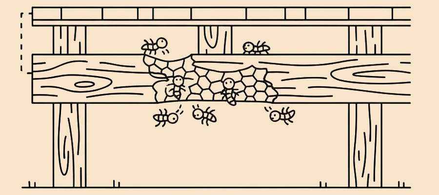 伊勢市のシロアリ被害と住宅修理
